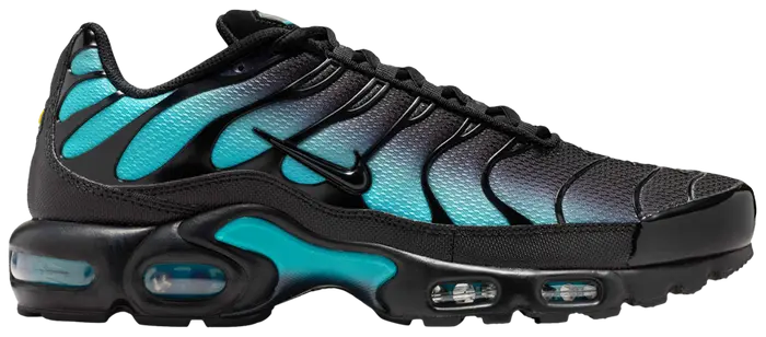 Dusty Cactus TNs